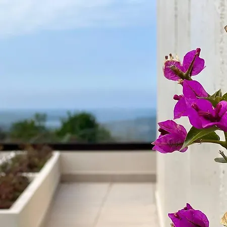 Apartment Puerta De Comillas - Monabri