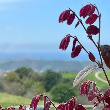 Puerta De Comillas - Monabri