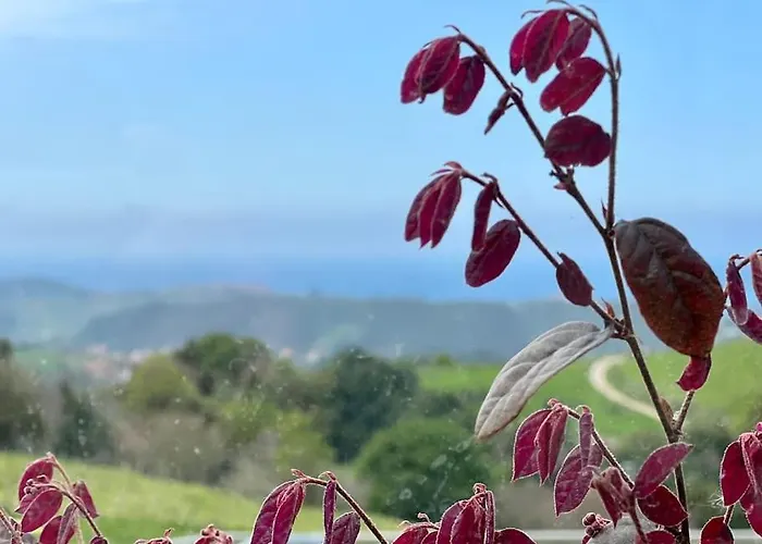 Puerta De Comillas - Monabri